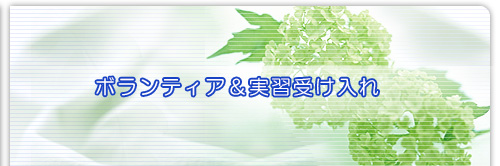 ボランティア＆実習受け入れ