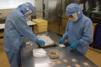 タグラグビー教室の様子です。